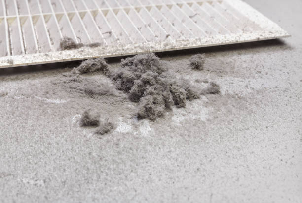 Best Residential Air Duct Cleaning  in Ciborne, LA