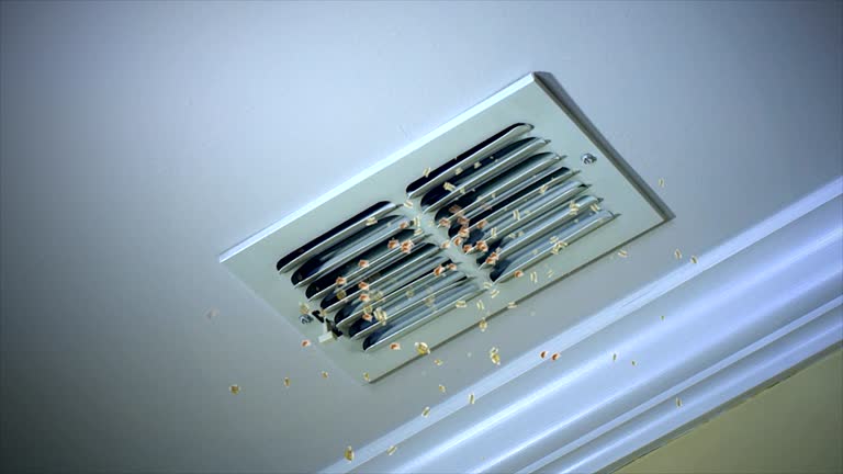 Reliable LA Airduct Cleaning Solutions