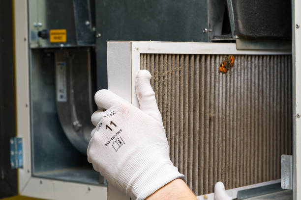 Best Ventilation Cleaning Services  in Ciborne, LA