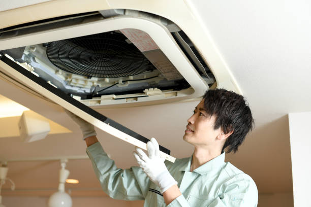 Best Ductwork Cleaning Services  in Ciborne, LA