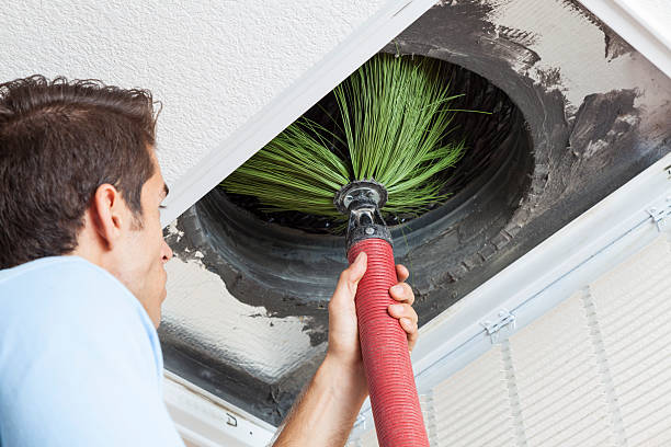 Best Home Air Vent Cleaning  in Ciborne, LA