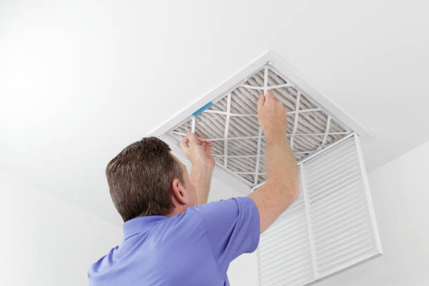 Best Duct Cleaning Specialists  in Ciborne, LA